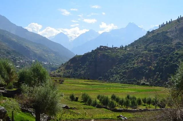 Leh Palace