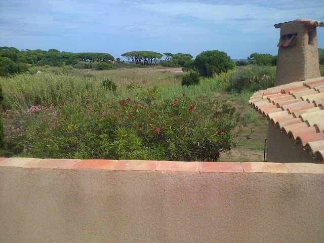 Plage des Salins