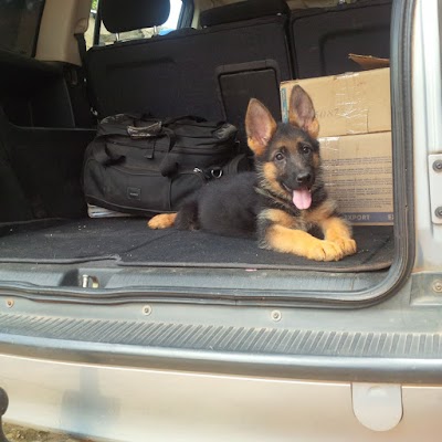 Photos of Sueshae Pets