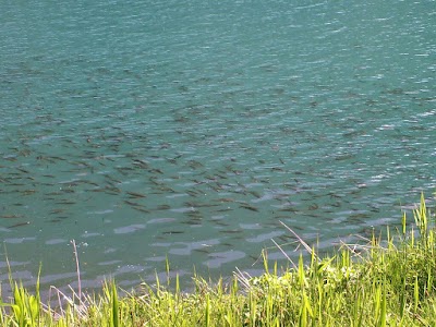 Photos of Sary-Chelek Biosphere Reserve