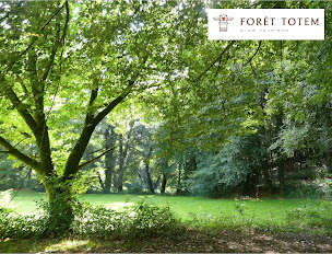 Photo n°28 de FORÊT TOTEM à Persquen (Hébergement de groupe)