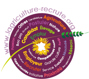 Photo n°9 de ANEFA Hautes-Pyrénées à Tarbes (Agence pour l'emploi)