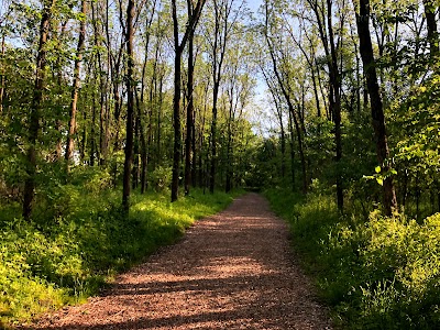 Morgan Creek Park