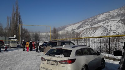 Photos of Sokolinyy Pitomnik "Sunkar"