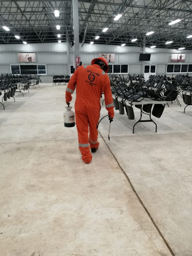 Fumigaciones Servicios Integrales Mexico - Thumbnail