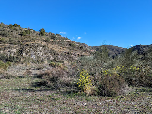 Rambla de Alfornón