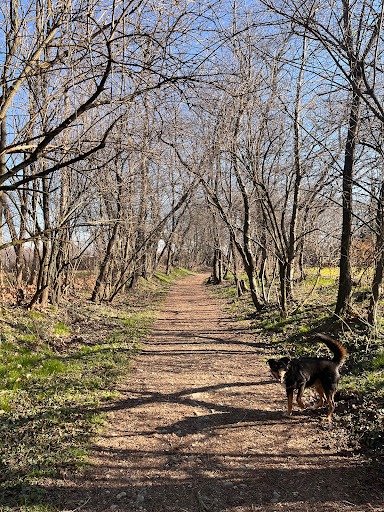 Bosco del Ratto - Thumbnail