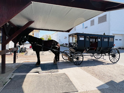Buggy Lane Tours