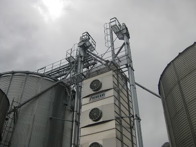 store