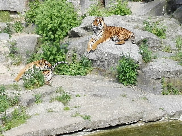 Tierpark Berlin