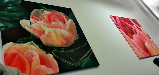 Dentalzentrum Essen - Thumbnail
