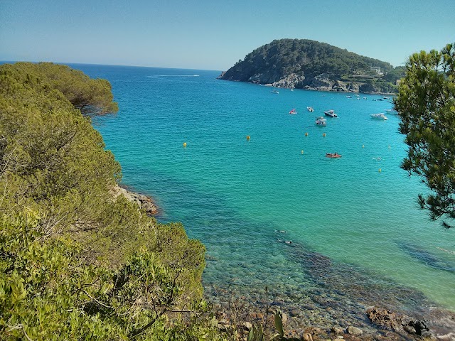 Cala S'Alguer