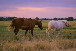 Photo n°32 de Le Mas de la Chérine à Quinson (Lodge)