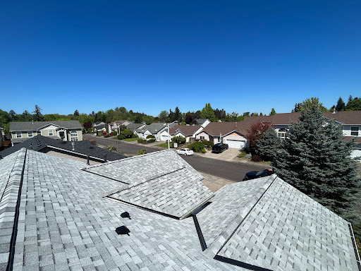 Tonys Roofing - Visual