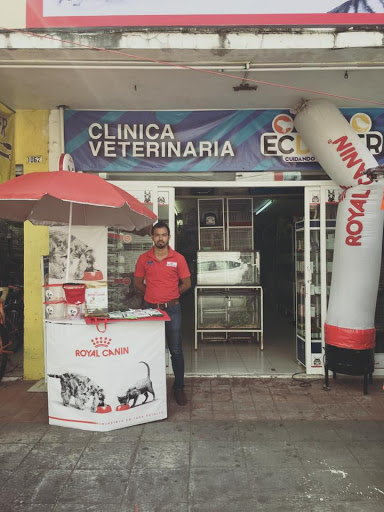 Tienda ECDOVER - Thumbnail