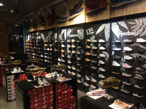 Crocodile Sneaker Store - Thumbnail