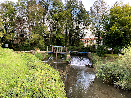 Sérézin du Rhône, bords de l'Ozon - Thumbnail