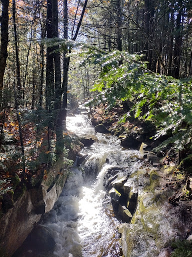 Stony Brook Trailhead - Thumbnail