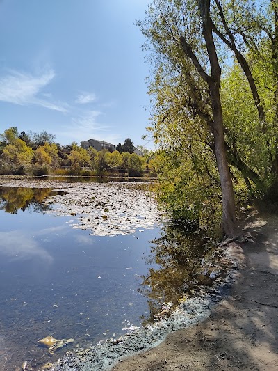 Glassman Pond