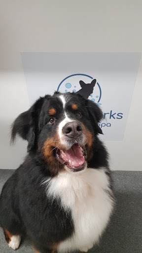 Bubble Barks Grooming & Spa