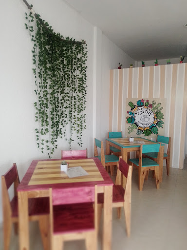 Caftus Restaurante - Thumbnail