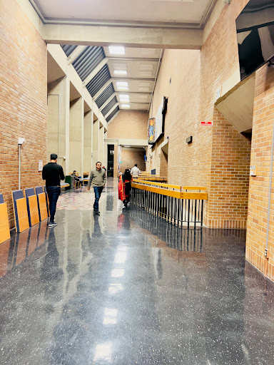 Kane Hall - Visual