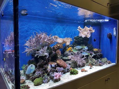 Photos of Aquamarine Trading Company