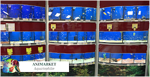 Photo n°15 de Animarket à Vendôme (Toiletteur)