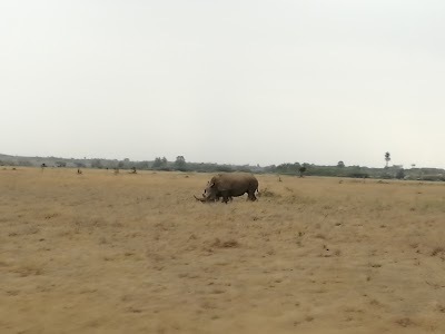 Photos of Nairobi Animal Orphanage