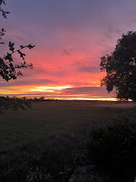 Photo n°7 de L'ARC EN CIEL Restaurant - Traiteur à Muret (Restaurant français)