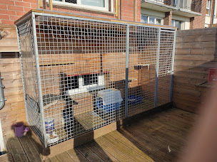 Photo n°1 de Holisticat à Allennes-les-Marais (Garde d'animaux de compagnie)