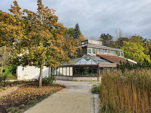 Palmenhaus Coburg - Visual