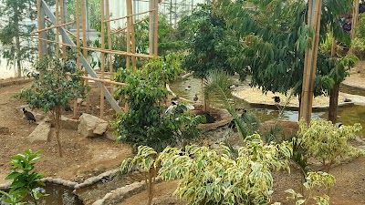 Photos of Bird Garden