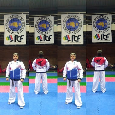 Club Mercantil Instituto Del Taekwondo Argentino, Author: Julio Niveyro