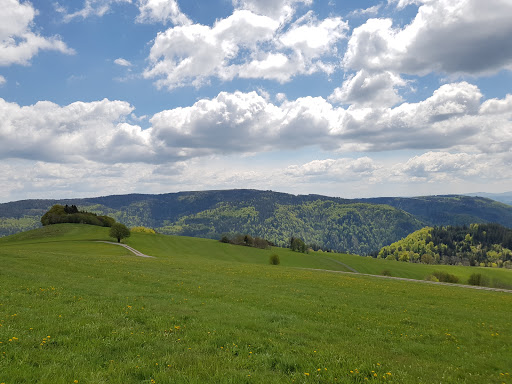 Hohle Eiche Gersbach
