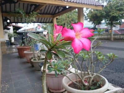 Photos of Hotel Cendrawasih Lahat