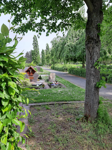 Friedhof Okriftel - Thumbnail