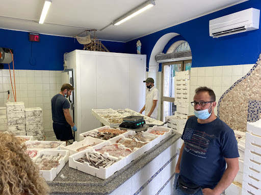 Pescheria Shark