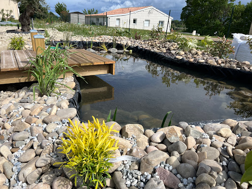 Ô naturelle piscine et bassin
