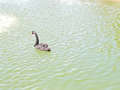 Photos of Quelques Becs D'oiseaux