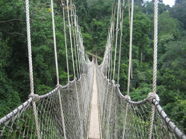 Kakum National Park