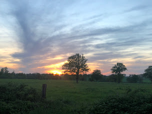 Photo n°72 de Gerland & Debby à Saint-Priest-en-Murat (Location de cottage)