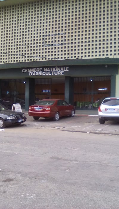 Photos of Plateau Mosque