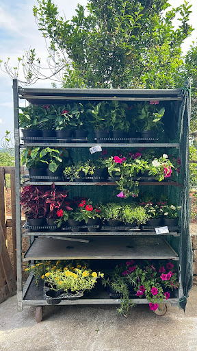 Pentamarket di Francesco Pentassuglia - Thumbnail