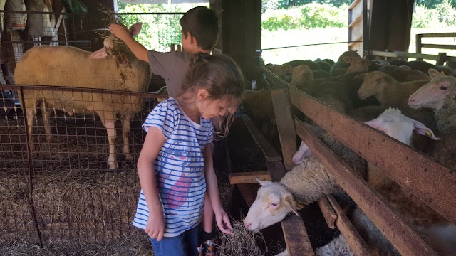 Les Fromages du Verger