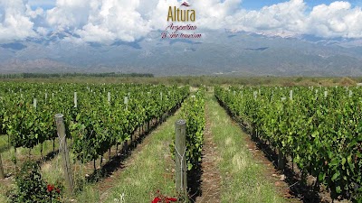 Photos of Argentina Tourism & Wine | Height