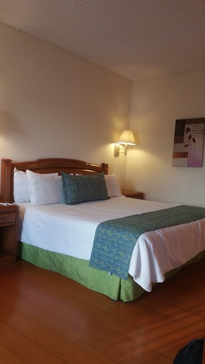 Photos of Hotel Villa Florida
