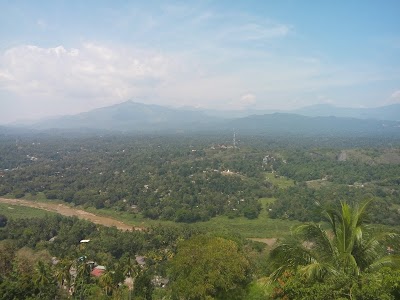 Photos of Skydale Homestay