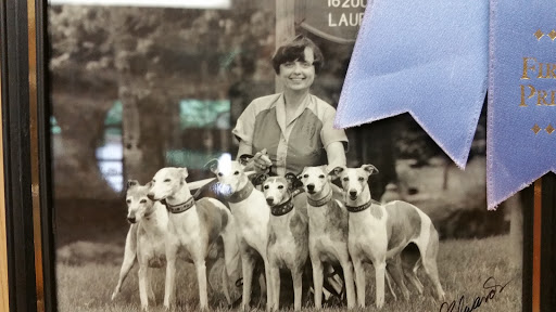 Henderson Barbara DVM