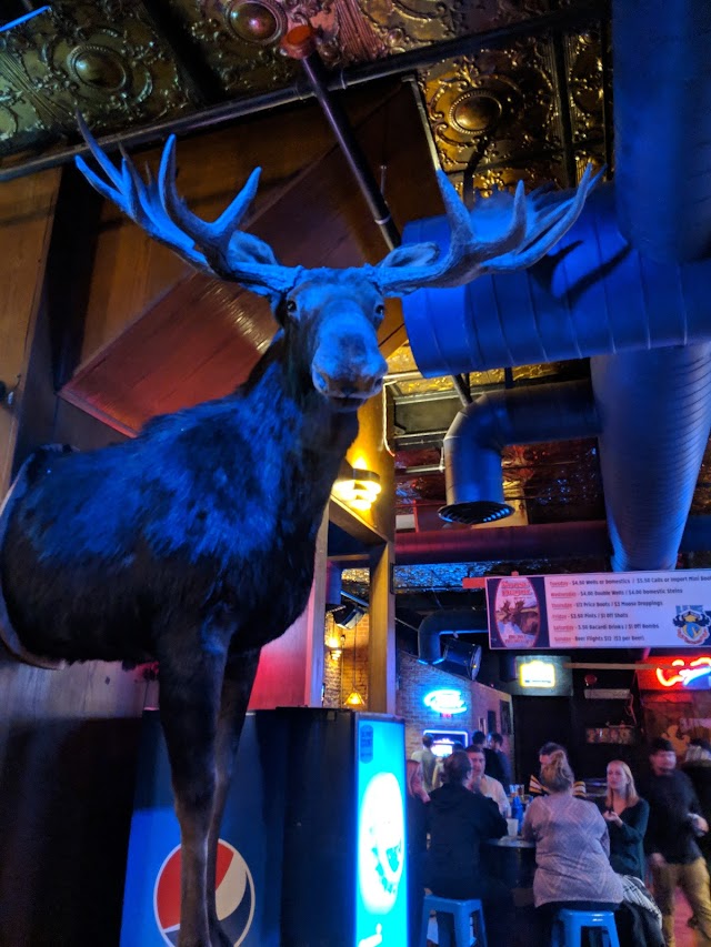 Blue Moose Tap House